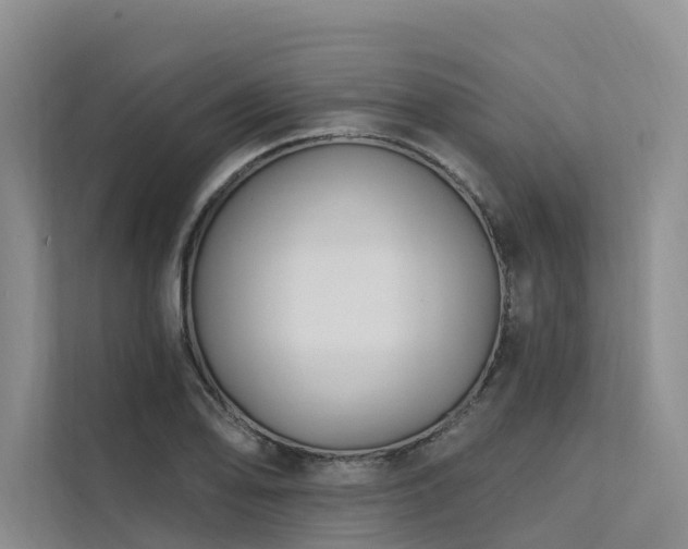 X0000112201078200908071429