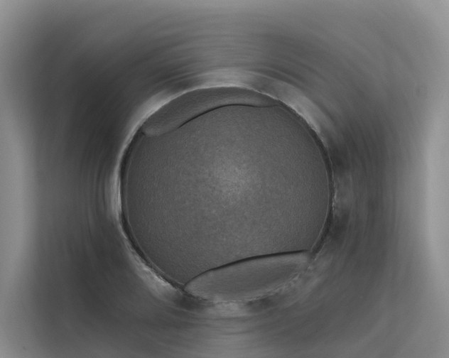 X0000112201080200908071429
