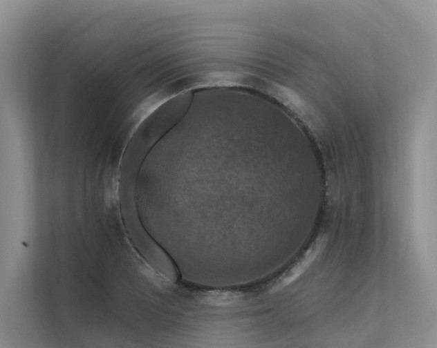X0000112201081200908071429
