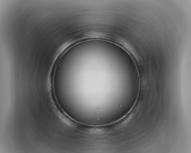 X0000112201082200908071429