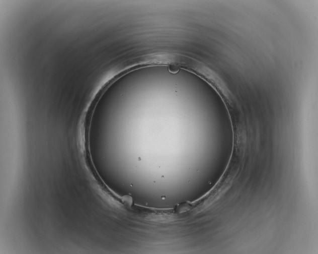 X0000112201083200908071429