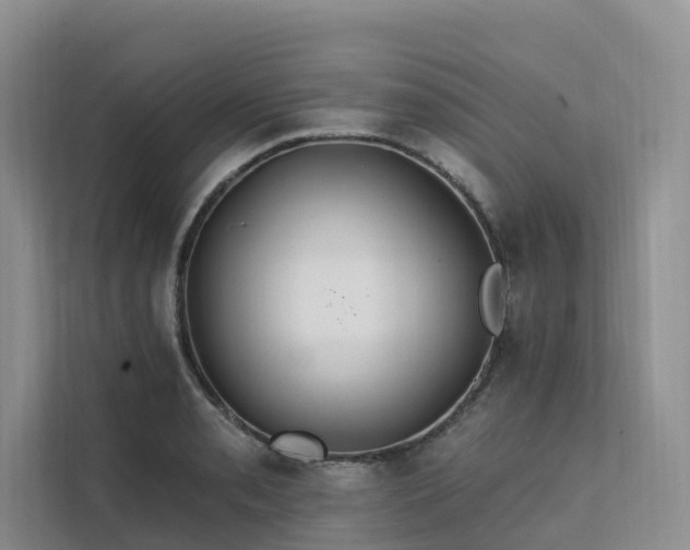 X0000112201085200908071429