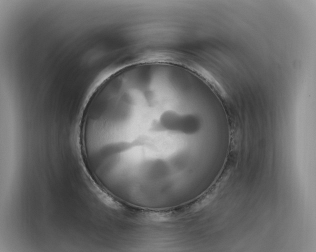 X0000112201086200908071429