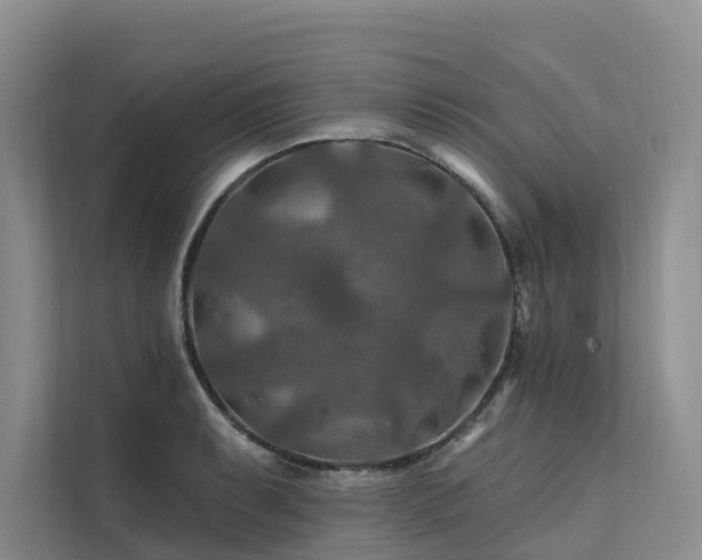 X0000112201087200908071429