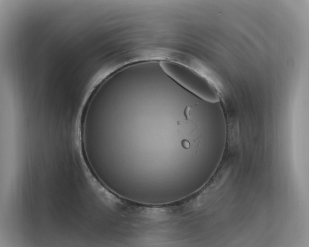 X0000112201088200908071429