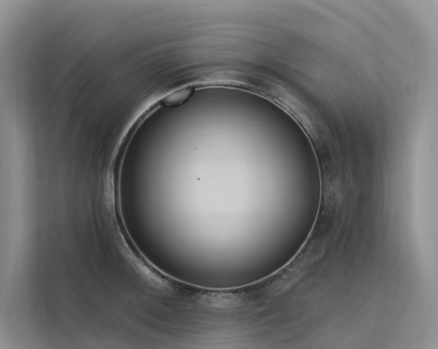 X0000112201092200908071429