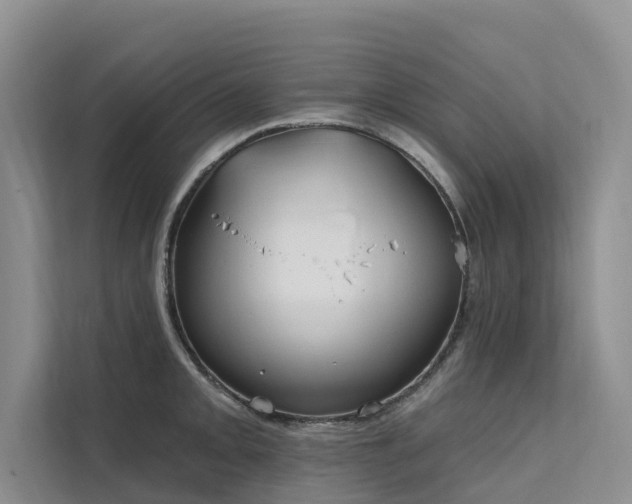 X0000112201093200908071429