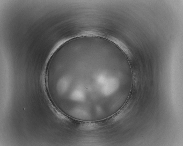 X0000112201094200908071429