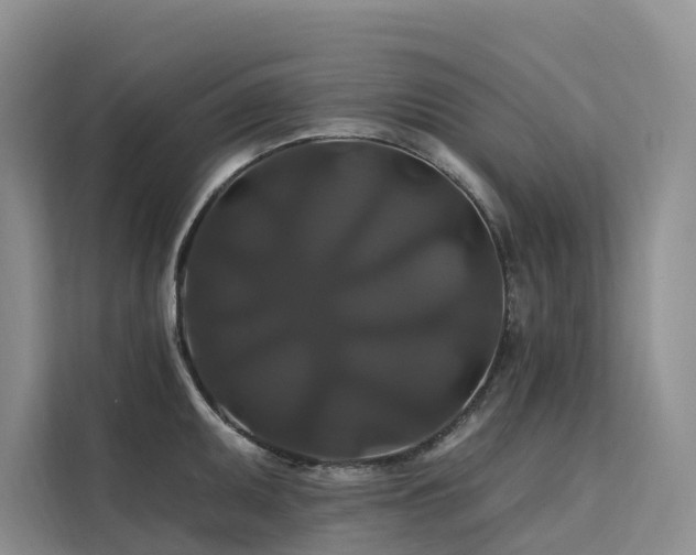 X0000112201095200908071429