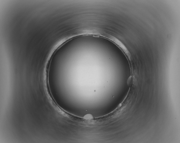 X0000112201096200908071429