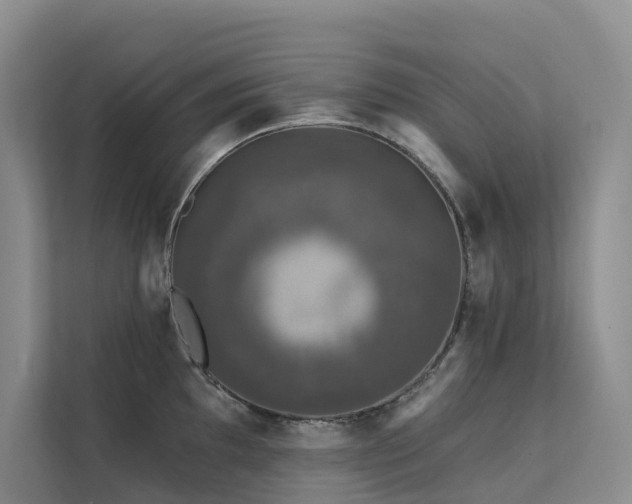 X0000112201097200908071429