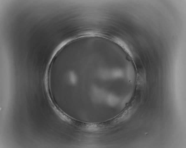 X0000112201098200908071429