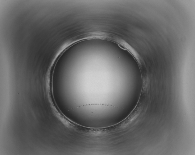 X0000112201099200908071429