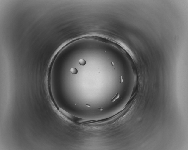 X0000112201100200908071429