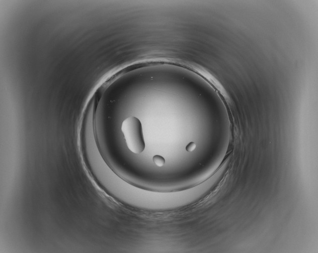 X0000112201101200908071429