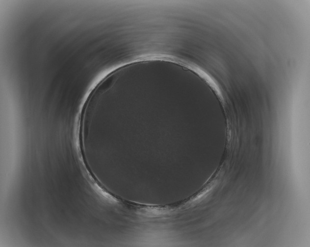 X0000112201102200908071429