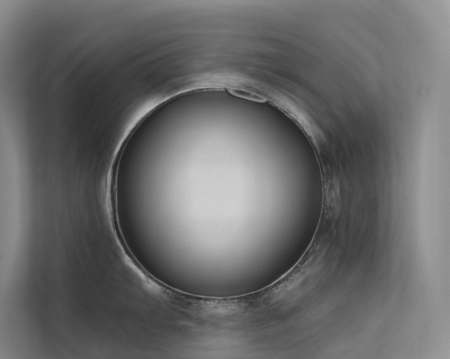 X0000112201103200908071429