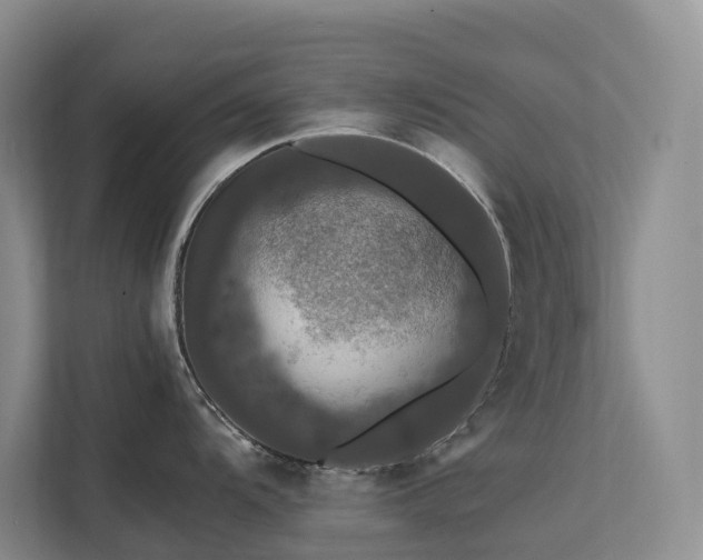 X0000112201104200908071429