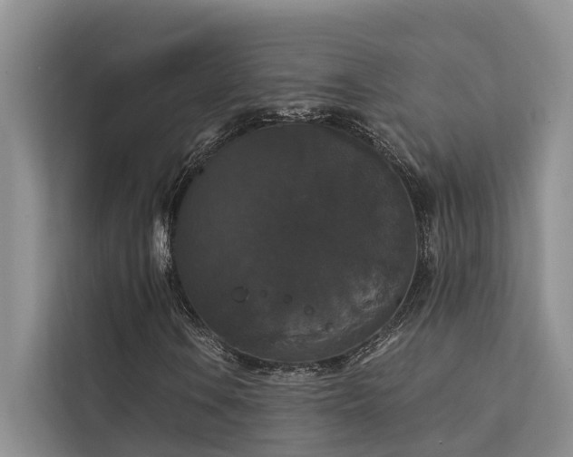 X0000112201106200908071428