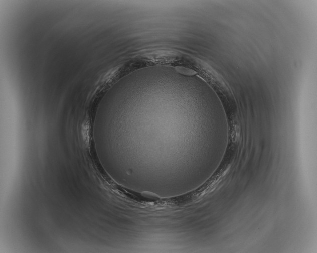 X0000112201108200908071428