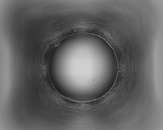 X0000112201109200908071428