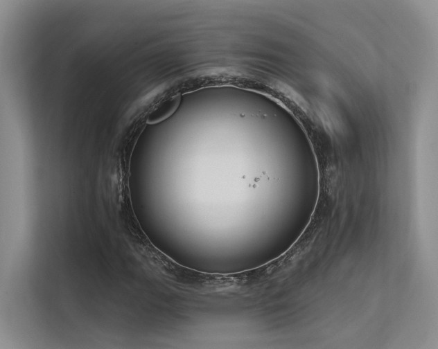 X0000112201111200908071428
