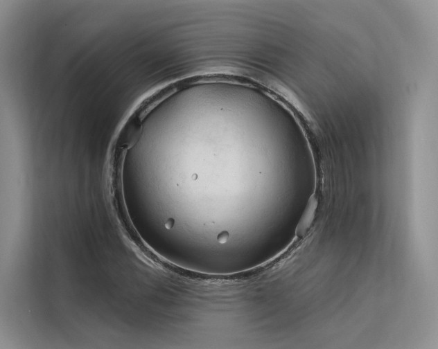 X0000112201116200908071428
