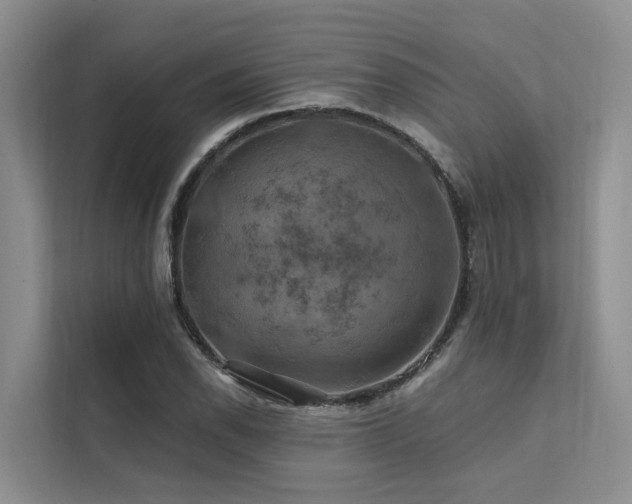 X0000112201118200908071428