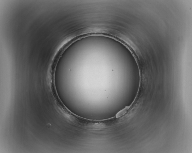 X0000112201119200908071428