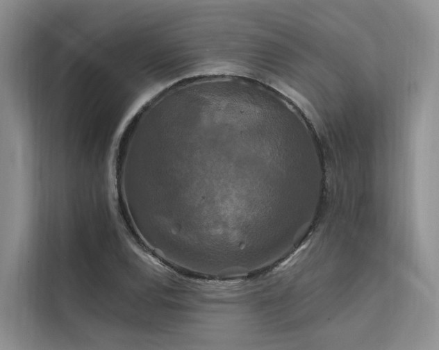 X0000112201120200908071428
