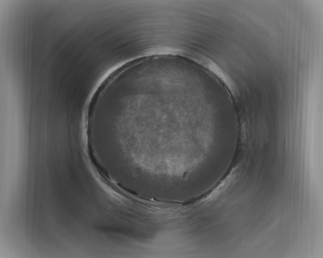 X0000112201124200908071428