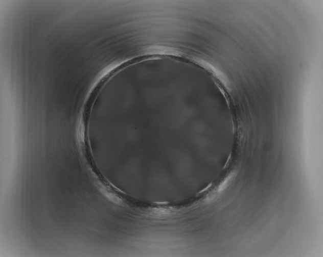 X0000112201125200908071428