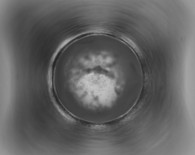X0000112201128200908071428