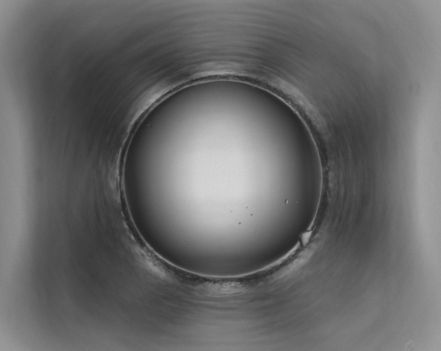 X0000112201129200908071428