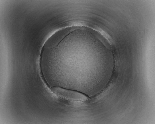 X0000112201134200908071429