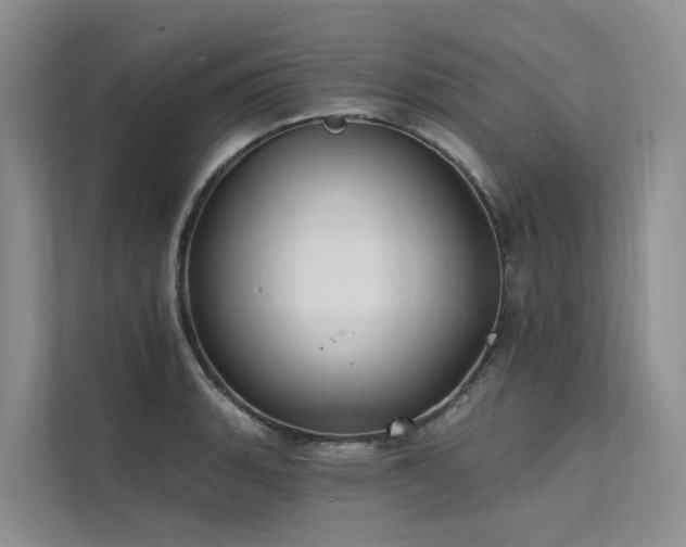 X0000112201135200908071429