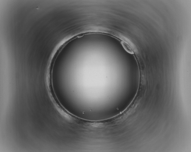 X0000112201136200908071429