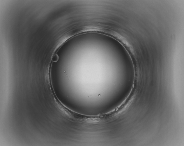 X0000112201137200908071429
