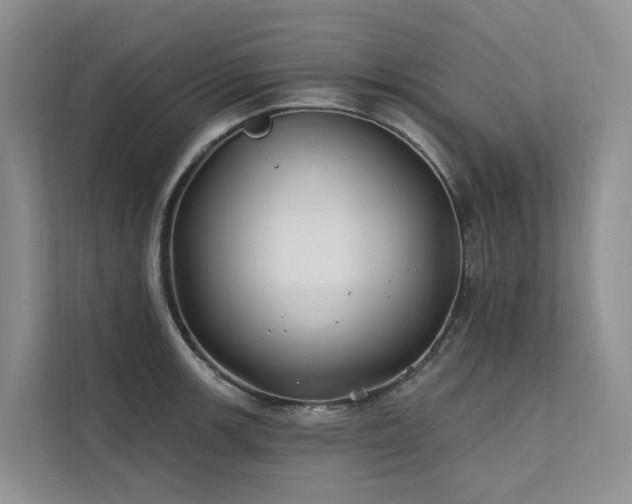 X0000112201139200908071429