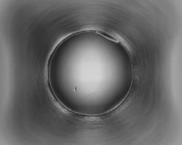 X0000112201140200908071429