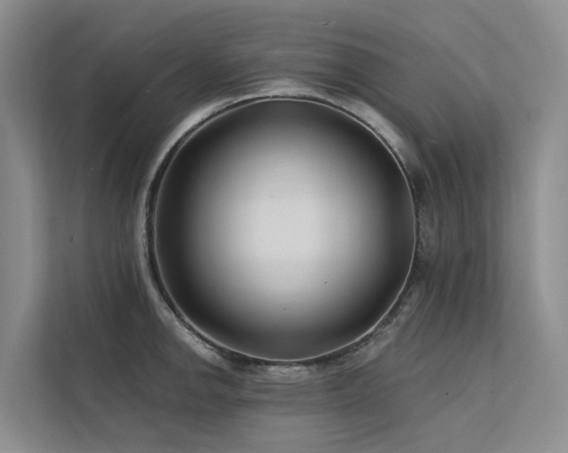 X0000112201142200908071429