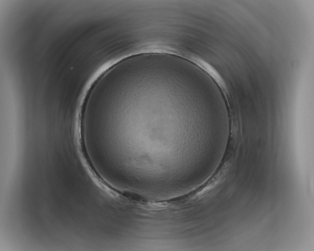 X0000112201144200908071429