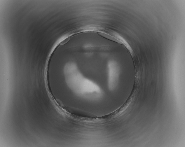 X0000112201146200908071429