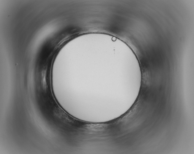 X0000112201150200908071429