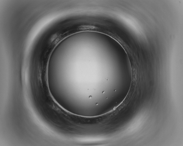 X0000112201151200908071429