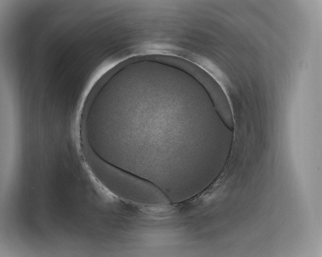 X0000112201152200908071429