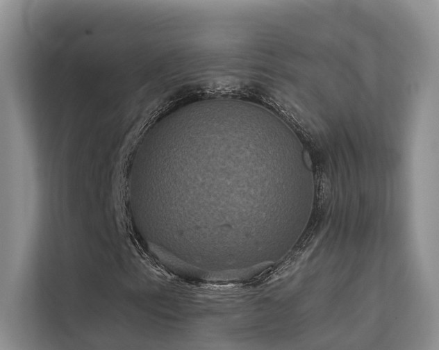 X0000112201153200908071428
