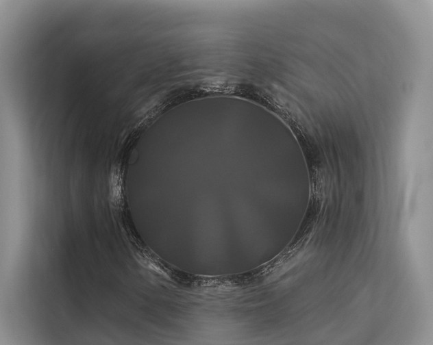 X0000112201154200908071428