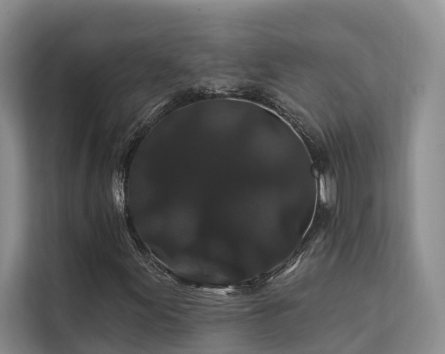 X0000112201155200908071428