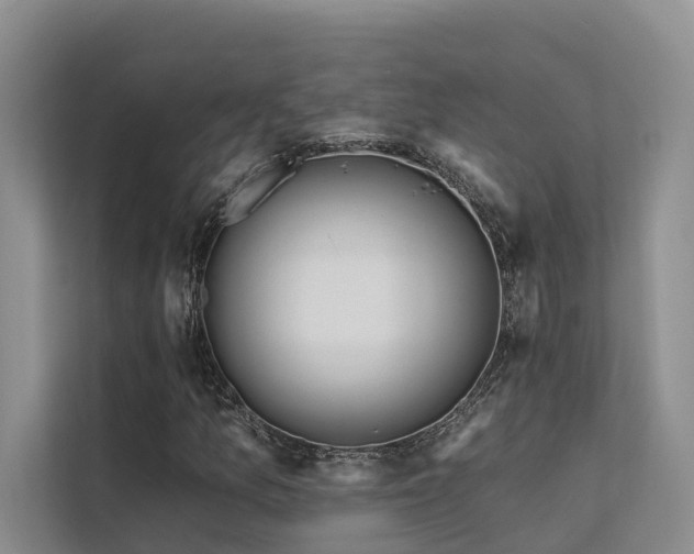 X0000112201157200908071428